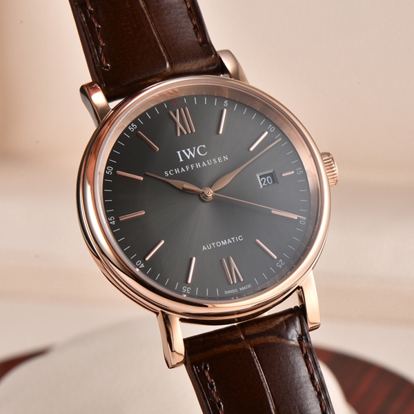 アイ・ダブリュー・シー内部構造